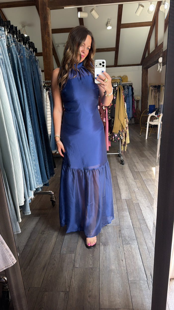 Starlit Sleeveless Elegance Organza Maxi Dress