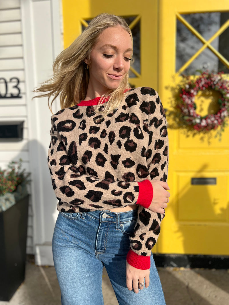 Leopard Sweater With Red Trim