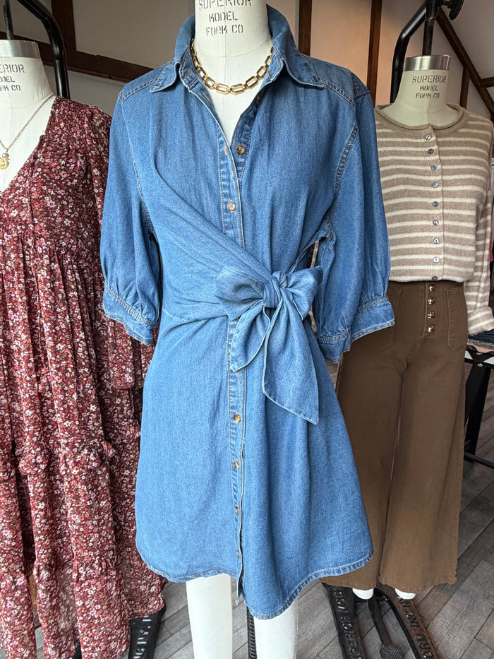 Tied in Blue Denim Dress
