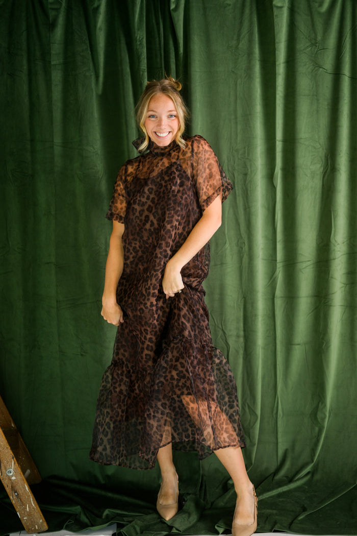 Long Leopard Mesh Dress