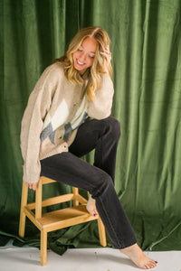 Argyle Collard Button Down Knit Cardigan
