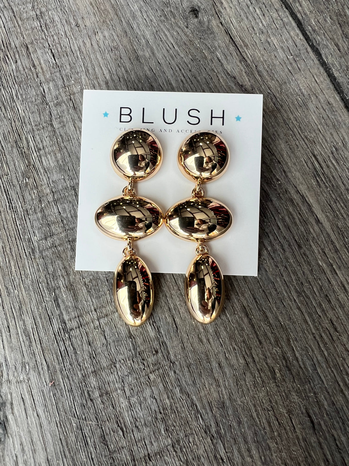 Linear Oval & Round Earring