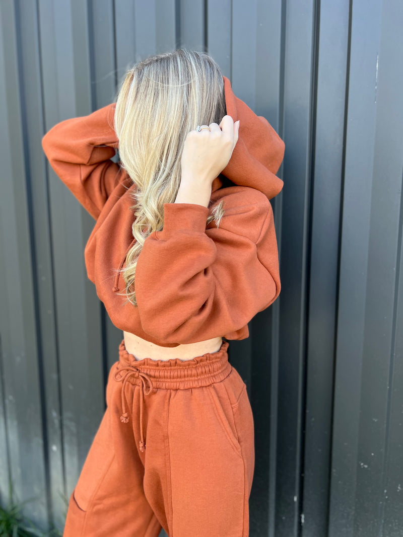 Cozy Cropped Hoodie