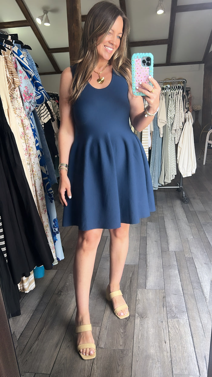 Navy Chic Cake Skirt Dress