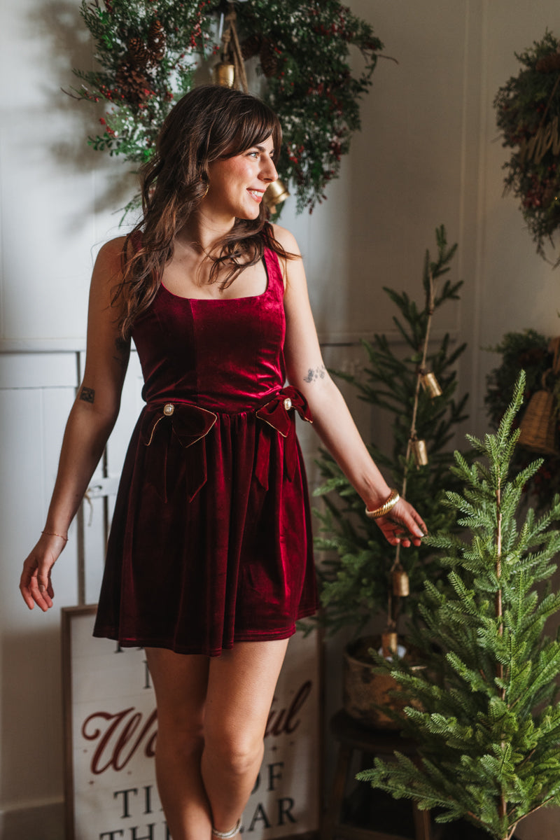 Darcy Velvet Midi Dress