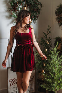 Darcy Velvet Midi Dress