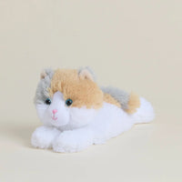 Calico Cat Warmies Junior