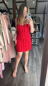 Red Ruffle Mini Dress