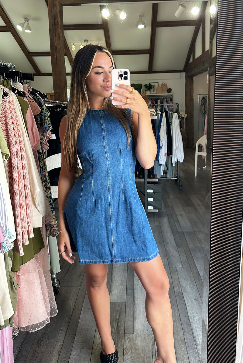 Sweeney Sleeveless Denim Mini Dress