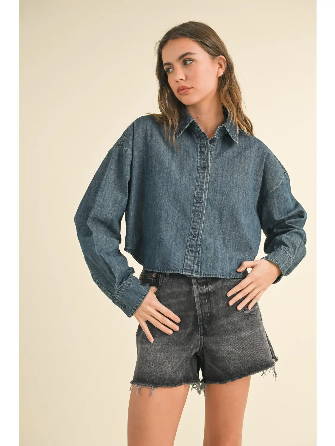 Baylor Button Down Shirt Indigo Blue